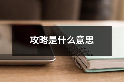 攻略是什么意思